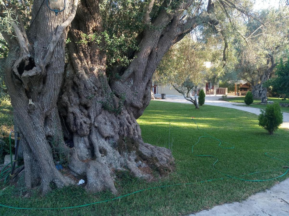 To Agridi Διαμέρισμα Τσουκαλάδες Εξωτερικό φωτογραφία