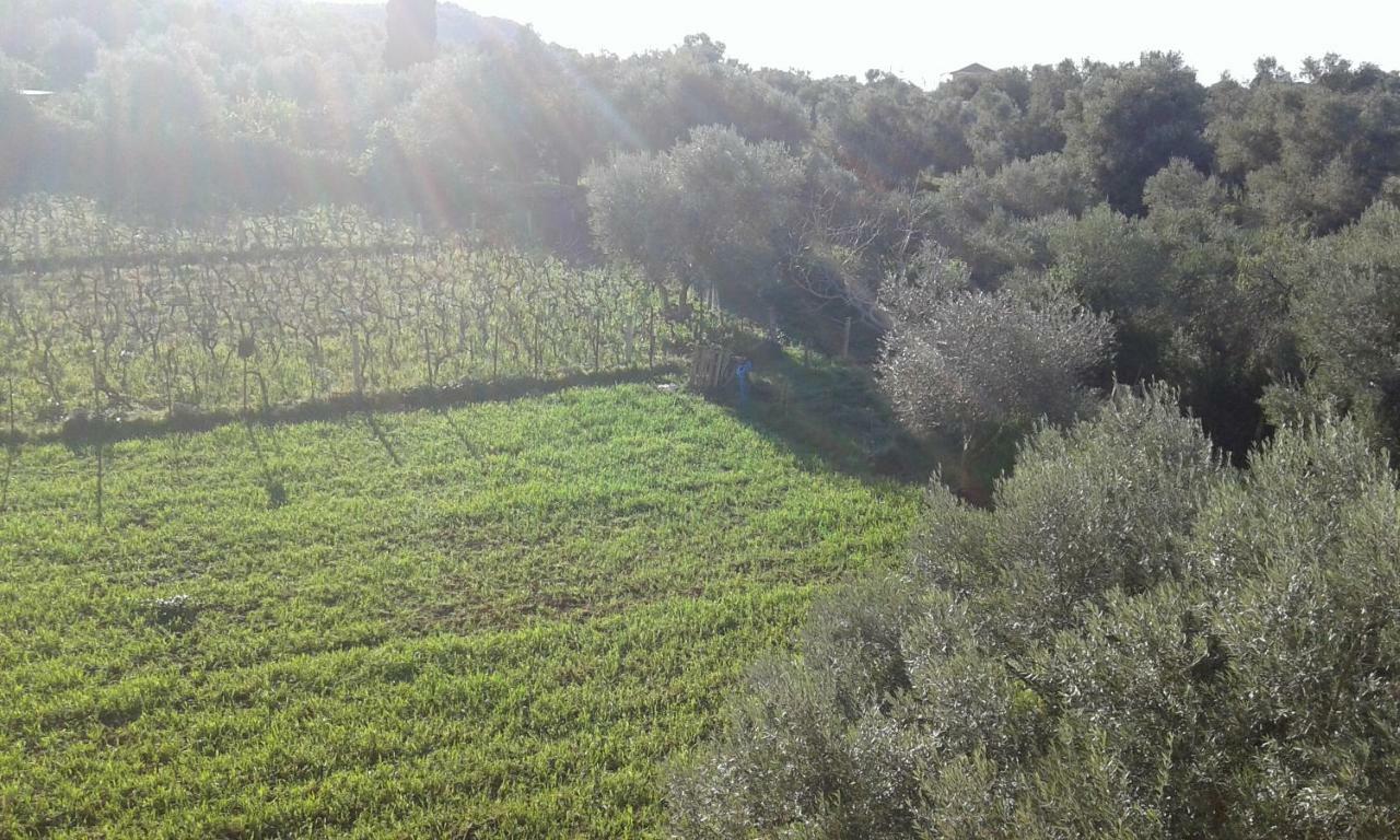 To Agridi Διαμέρισμα Τσουκαλάδες Εξωτερικό φωτογραφία